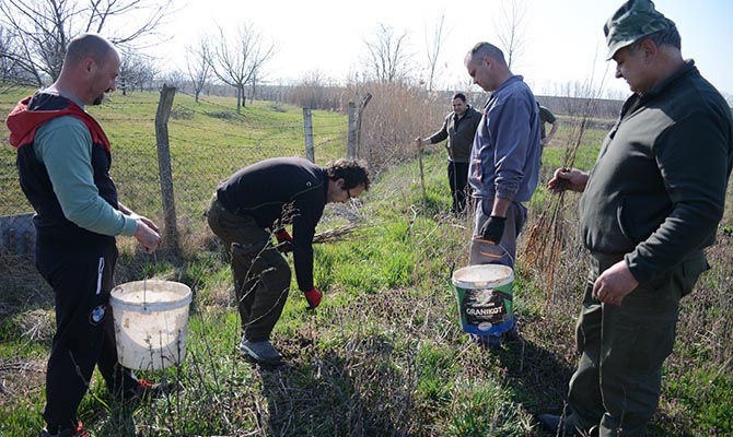 500 db facsemetét ültettek el a szenttamási vadászok